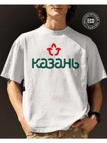 Men's T-shirt: Kazan city/Tatarstan coat of arms print L gray