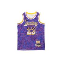 Nike Retro krepšinio marškinėliai Gerbėjo versija Su numeriu 23 Vyriški viršutiniai drabužiai Violetiniai DA6951-504 M blue