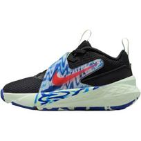 Nike Team Hustle D 12 žemi krepšinio bateliai Juodi Vaikams IQ0814-001 33.5 gray