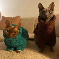 Sphynx Cat Green Coffee Lamb Wool Sweater Hairless Cat Clothes Thick Warm 4-legged Coat Fleece Jumpsuit for Devon Rex L žalia