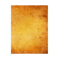 Kraft popieriaus tematikos fotografijos fono audinio vėliava renginiams, vakarėlio vėliava, namų dekoravimui, vestuvėms, fotosalonams 150*225cm yellow