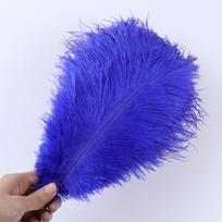 15-40 cm Dideli stručio plunksnos 10 vnt Natūralios dekoratyvinės plunksnos Vestuvių gėlių kompozicijoms Karnavalinio kostiumo skrybėlei Dekoravimui 15-20cm karališkos mėlynos spalvos