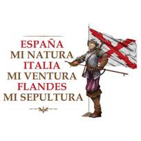 Ispanijos Flandrijos Tercio šūkis Marškinėliai Aukštos Kokybės Medvilnė Laisvi Dideli Dydžiai Kvėpuojantis Viršutinis Drabužis Laisvalaikio Marškinėliai S3XL XL gray