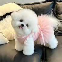 Pink Lace Pet Princess Dress With D-Ring Bow Tutu Skirt Summer Sleeveless Puppy Clothes Birthday Party Costume For Small Dog Cat XXL