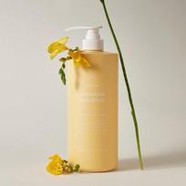 La Ferme Laminaria Shampoo Fair   Freesia 1000ml  + Free Shampoo And Conditioner Sample Kit NONE beige