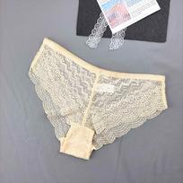 Plus-size Ladies Summer Sexy Lace Mesh Comfortable Breathable Transparent Triangle Briefs L abrikosas