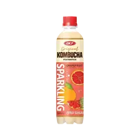 Gazuotas gėrimas su greipfrutais OKF Kombucha, 500 ml