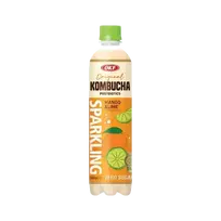 Gazuotas gėrimas su mango ir laimu OKF Kombucha, 500 ml