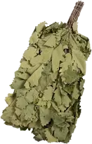 Ąžuolo vanta
