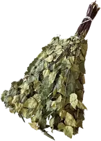 Beržo vanta