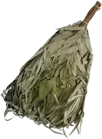 Eukalipto vanta