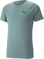 Puma Marškinėliai Vyrams Rtg Tee Mineral Žalias 585827 50