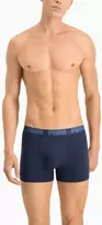Puma Apatiniai Vyrams Men Aop Boxer Mėlyna 935054 03