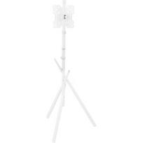 Maclean TV Floor Stand, 27–55" MC-181 W