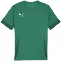 Puma Marškinėliai Vyrams TeamGoal Matchday Jersey Žalias 705747 05