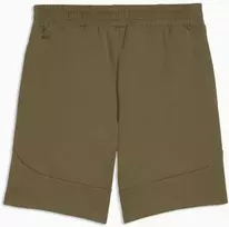 Puma Šortai Vyrams Pumatech Shorts Khaki 692182 81