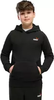 Puma Džemperis Paaugliams Ess 2 Color Small Logo Hoodie Fl Juodas 685825 71