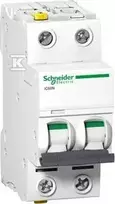 Schneider Electric IC60N 2P 32A D viršsrovės išjungiklis