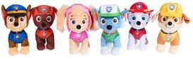 Pliušinis žaislas šuo Spin Master Paw Patrol Dino, (spalva/dizainas parenkami atsitiktine tvarka), 25 cm