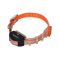 NITEforce Live Map Dog GPS collar elektrinė apykaklė 3-9
