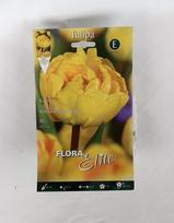 Tulpės Yellow Pomponette, 10 vnt.