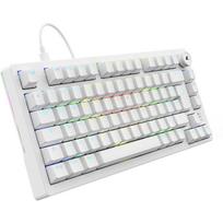 Sharkoon SKILLER SGK25 4044951041817, 75%, DE išdėstymas, Huano Red, žaidimų klaviatūra, balta, RGB apšvietimas