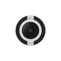 IR-V-C8S-100, 12 megapikselių, baltas, FishEye, Edge serija, Inner Range (parduodama tik Latvijoje)
