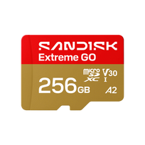 SanDisk Extreme GO microSDXC Memory Card 256GB UHS-I