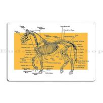Žirgo skeletinė anatomija Veterinarinis sieninis plakatas Anatomijos vadovas Metalinė lentelė Svetainės Alaus baro Sienų dekoras Geležies Skardos ženklas Plakatas 20x30cm yellow