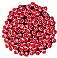 Raudona eglutės girlianda, 200 LED, su programatoriumi