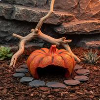 Resin Cave Realistic Texture Aquarium Hollow Terrarium Shelter Landscaping Hideout Landscaping Hideout