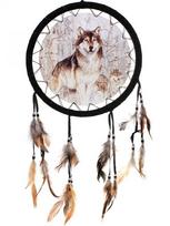 5D deimantinis siuvinėjimas Dreamcatcher Viso kvadrato/apvalus grąžtas Deimantinis dažymas kryželiu Siuvinėjimo peizažas Mozaikos menas Namų dekoravimas Full Square 20X30CM šviesiai mėlyna spalva