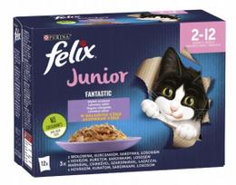 Kačių ėdalas FELIX JUNIOR, 12 x 85 g, įvairių skonių, želėje, kačiukams