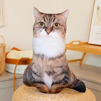 Realistiškas 3D katės pliušinis žaislas, minkštas įdarytas gyvūno lėlės miego pagalvė, sofos pagalvėlė, animacinis namų dekoras, dovana 48cm