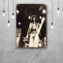 Joey Ramone Retro Vintage skardinis ženklas Plakatas Dekoratyvinė plokštelė Metalinė plokštelė Sienų dekoras 20x30cm（7.8x11.8inch） gray