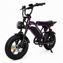 Pixar M9 Mini Elektrinis Dviratis 250W Variklis 16  Padanga Miesto Komutavimo Elektrinis Dviratis 7 Pavarų Hidrauliniai Stabdžiai 48V 15Ah Maksimalus Nuotolis 60Km Apkrova 120Kg violetinė