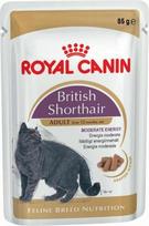 Royal Canin British Shorthair trumpaplaukėms Britų veislių katėms, 12x85g