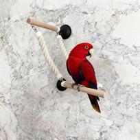 Climbing Parrot Perch Set for Birds Suction Cup Swing Toy Non-slip and Bite Resistant white