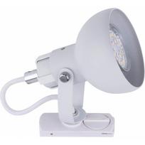 TK Lighting lubinis šviestuvas bėgeliui Tracer