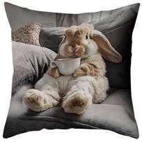 Mielas triušio sofos pagalvėlė 45x45cm pliušinis užvalkalas svetainės dekoratyvinių pagalvių rinkinys minkštos triušio rašto pledinės pagalvės Short plush 55*55(CM)-1Pcs gray