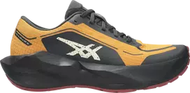 Asics Novablast 6 GTX Men's