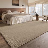 Large Area Carpets for Living Room French Style Bedroom Decor Plush Carpet Thick Lounge Washable Floor Mat Home Fluffy Soft Rug 80x120cm
