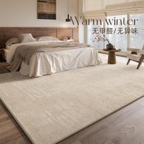 Large Area Carpets for Living Room French Style Bedroom Decor Plush Carpet Thick Lounge Washable Floor Mat Home Fluffy Soft Rug 80x120cm