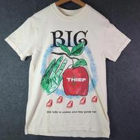Big Thief Band Retro Gift For Fans Cotton White All Size T Shirt BL1686 XXXXL gray