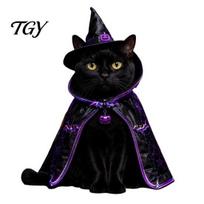 Comfortable Cat Clothes Halloween Witch Costume, Cute Ghost Cloak, Funny Pet Photography Props Festival Outfit, Kitty Cosplay Cape for Holiday C black