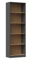 Topeshop R60 ANT/ART biuro knygų spinta