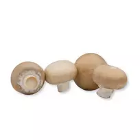 Baltų ir rudų pievagrybių mix, 250 g