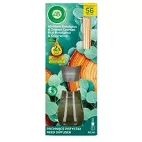 Kvapas su lazdelėmis AIR WICK BLUE EUCALYPTUS & CEDARWOOD, 42 ml