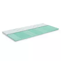 Antčiužinis DORMEO Aloe Vera Vitalis 2in1, 120x200