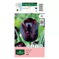 AGRONOM TULPĖS BLACK 170169